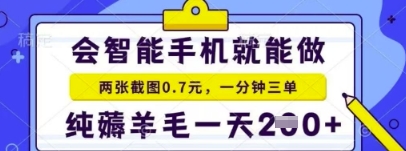 简单截图就能有收益，最适合小白做的副业，日入2张+轻轻松松-资源鲟