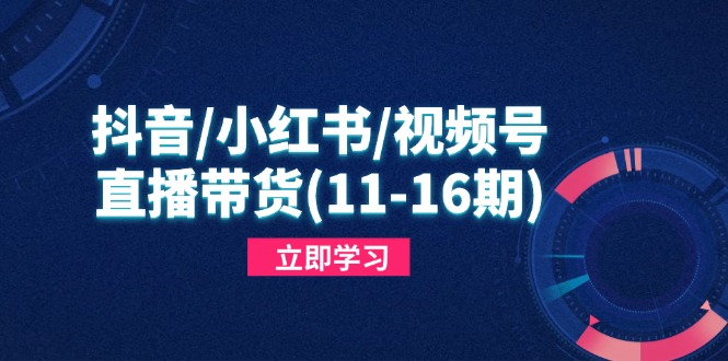 （14611期）抖音/小红书/视频号/直播带货(11-16期)，快速掌握平台规则，打造爆款内容-资源鲟