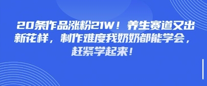 20条作品涨粉21W！养生赛道又出新花样，制作难度我奶奶都能学会，赶紧学起来-资源鲟