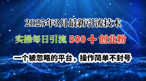 2025年3月最新引流技术，实操每日引流500+创业粉，一个被忽略的平台，操作简单不封号-资源鲟