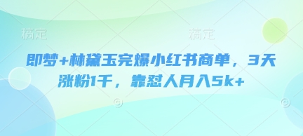 即梦+林黛玉完爆小红书商单，3天涨粉1千，靠怼人月入5k+-资源鲟