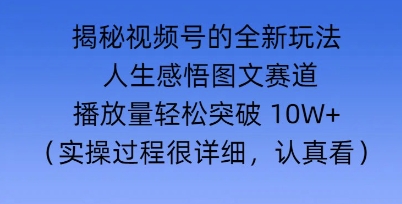 Deepseek和即梦结合，做一个【人生图文感悟】的视频号-资源鲟