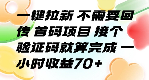 一键拉新 不需要回传 首码项目 接个验证码就算完成 一小时收益70+【揭秘】-资源鲟