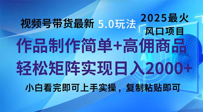 （14191期）视频号带货最新5.0玩法，作品制作简单，当天起号，复制粘贴，轻松矩阵…-资源鲟