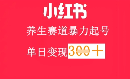 小红书养生赛道，暴力起号，轻松日入3张+-资源鲟
