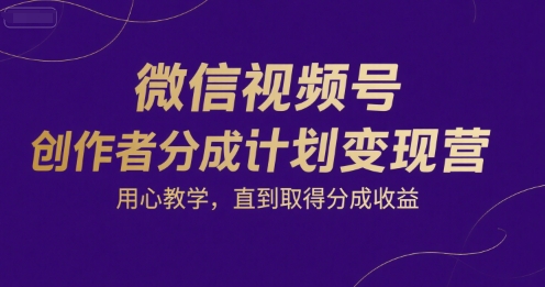 微信视频号创作者分成计划变现营，用心教学，直到取得分成收益-资源鲟