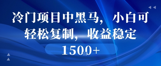 冷门项目中黑马，小白可轻松复制，收益稳定1.5k-资源鲟