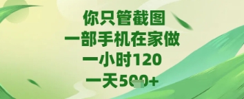 你只管截图，一部手机在家做，苹果安卓都可以，一天5张+【揭秘】-资源鲟
