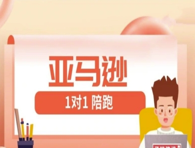亚马逊1对1陪跑课(FBA/FBM精铺)跨境亚马逊教程-资源鲟