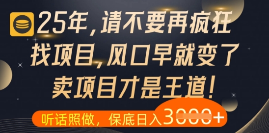 什么？25年你还在疯狂找项目做，醒醒吧，看完这些你全都懂了【揭秘】-资源鲟