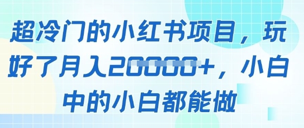 超冷门的小红书项目，玩好了月入过1w，小白中的小白都能做-资源鲟