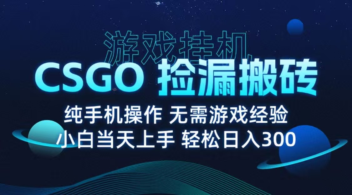 9月最新游戏搬砖，CSGO纯挂机，不需要玩游戏，实现真挂机，月入1W+-资源鲟