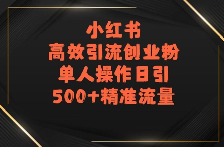 小红书高效引流创业粉，单人操作日引500+精准流量-资源鲟