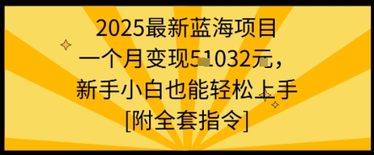 2025最新蓝海项目一个月变现1w+新手小白也能轻松上手【附全套指令】-资源鲟