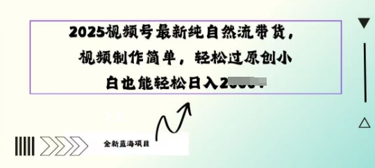 2025视频号最新纯自然流带货， 视频制作简单，轻松过原创小 白也能轻松操作-资源鲟