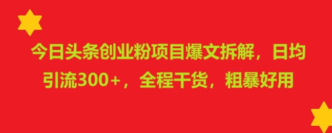 今日头条创业粉项目爆文拆解，日均引流300+，全程干货，粗暴好用-资源鲟