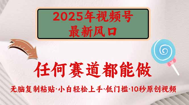 （14453期）2025年视频号新风口，低门槛只需要无脑执行-资源鲟