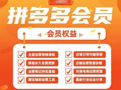 2025拼多多运营实战课，40节全流程教学，覆盖拼多多运营全链路-资源鲟