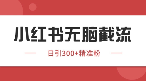 小红书只要你有同行就能获客，独家野路子获客玩法，暴力截流【揭秘】-资源鲟