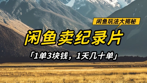 闲鱼卖纪录片1单3块钱，1天几十单，项目稳定有潜力-资源鲟