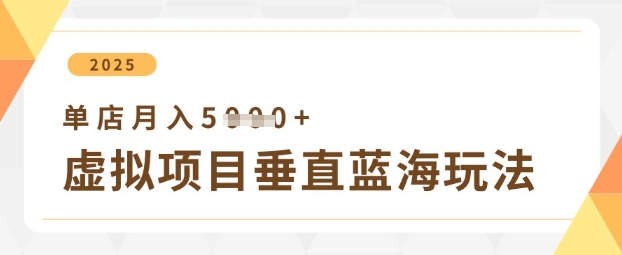 虚拟项目垂直玩法，实现单店月入5k+-资源鲟