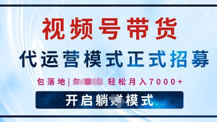 视频号代运营，全程托管计划招募，躺Z模式，单月轻松变现7k-资源鲟