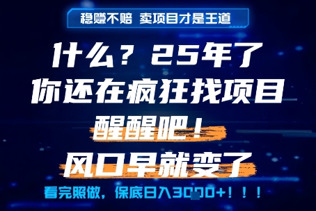 什么？25年你还在疯狂找项目做，醒醒吧，看完这些你全都懂了！【揭秘】-资源鲟