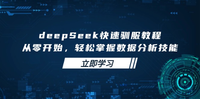 （14536期）deepSeek快速驯服教程，从零开始，轻松掌握数据分析技能-资源鲟