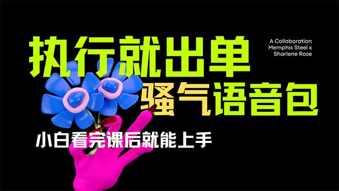 （14170期）爆火全网的开车导航骚气语音包,只要执行就出单，小白看完课程就能实操…-资源鲟