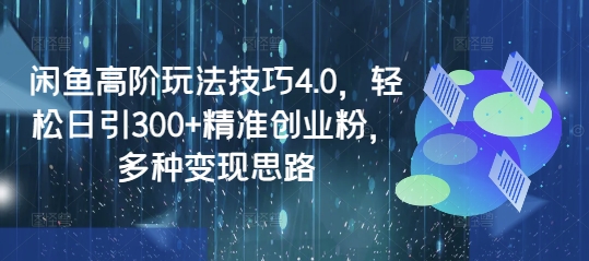闲鱼高阶玩法技巧4.0，轻松日引300+精准创业粉，多种变现思路-资源鲟