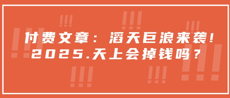 付费文章：滔天巨浪来袭！2025天上会掉钱吗？-资源鲟