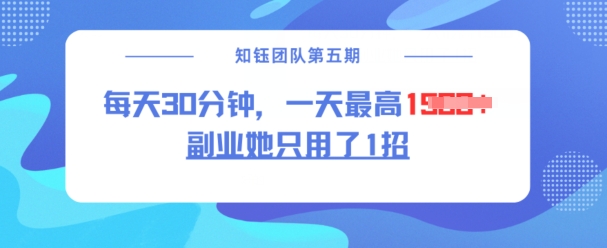 副业她只用了1招，每天30分钟，无脑二创，一天最高1.5k-资源鲟