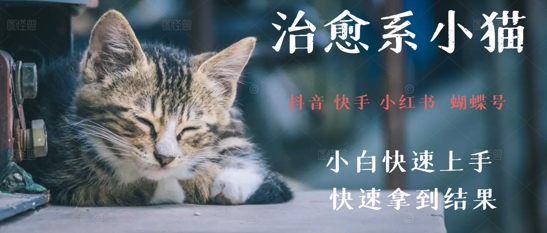 拆解，疯狂火爆！抖音，小红书，视频号小猫治愈的视频，轻松制作+快速拿到结果-资源鲟