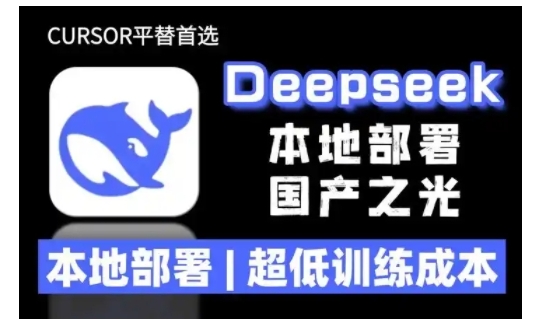 2025年deepseek R1 大型模型本地安装部署(文件+教程)本地部署，超低训练成本-资源鲟