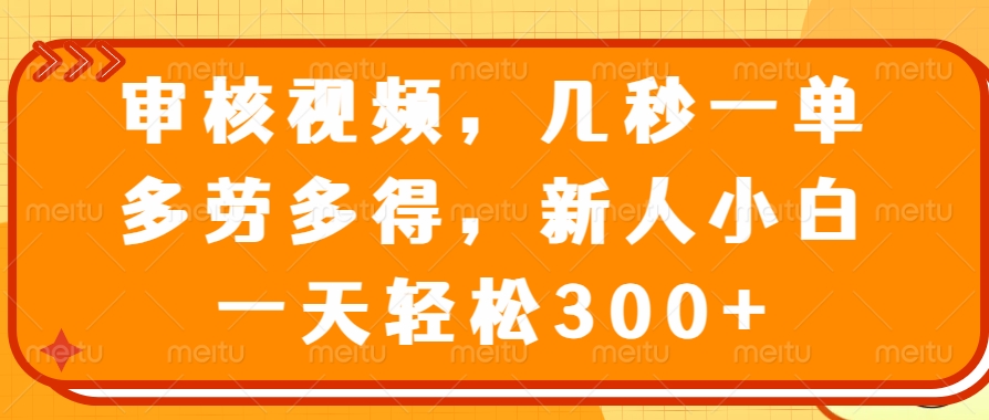 （14294期）审核视频，几秒一单，多劳多得，新人小白一天轻松300+-资源鲟