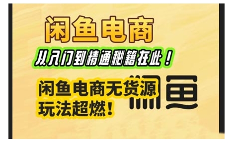 闲鱼电商实战课，从入门到精通秘籍在此，闲鱼电商无货源玩法超燃!-资源鲟