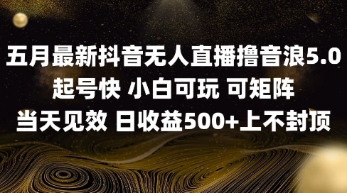 2025五月最新无人直播撸音浪单日产出5张+实操教程【揭秘】-资源鲟