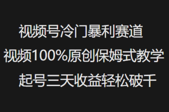 视频号冷门暴利赛道视频100%原创保姆式教学起号三天收益轻松破千-资源鲟