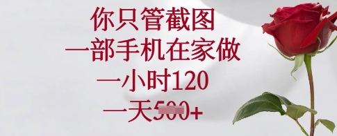 你只管截图，一部手机在家做，一小时120.一天5张【揭秘】-资源鲟