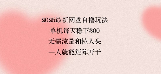 2025最新网盘自撸玩法，单机每天稳下3张，无需流量和拉人头，一个人就可轻松矩阵，全网独一份【揭秘】-资源鲟