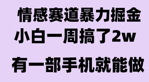 情感暴力掘金项目，新人操作一周挣了2W，长期稳定小白可做【揭秘】-资源鲟