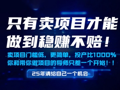 只有卖项目才能做到稳挣不赔，门槛低，更简单，你也可以年入百个W【揭秘】-资源鲟