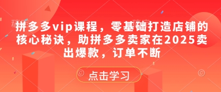 拼多多vip课程，零基础打造店铺的核心秘诀，助拼多多卖家在2025卖出爆款，订单不断-资源鲟