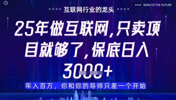 什么！25年你还在找项目做？风口早就变了，卖项目才是稳挣不赔【揭秘】-资源鲟