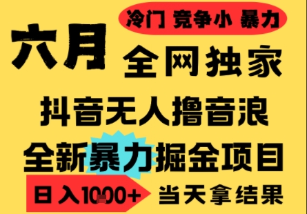 25年6月高爆抖音无人直播最新撸音浪掘金项目，小白可做，无脑日入1k+，门槛低可批量矩阵【揭秘】-资源鲟