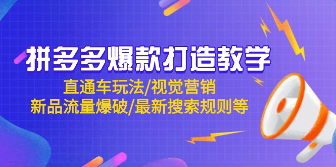 （14681期）拼多多爆款打造教学：直通车玩法/视觉营销/新品流量爆破/最新搜索规则等-资源鲟