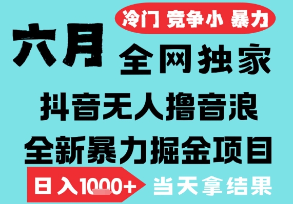2025年6月高爆抖音无人直播最新撸音浪掘金项目，无脑日入1k+，低门槛小白可做，可矩阵放大【揭秘】-资源鲟