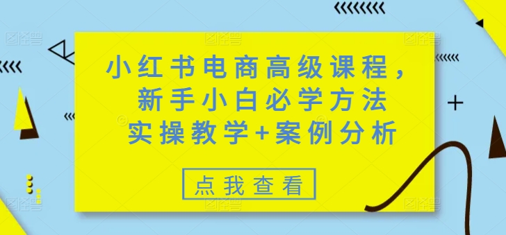 小红书电商高级课程，新手小白必学方法，实操教学+案例分析-资源鲟