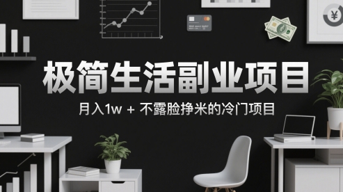极简生活副业项目，月入1w+不露脸挣米的冷门项目-资源鲟
