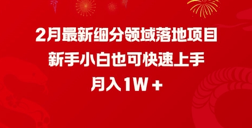 2月最新细分领域落地项目，新手小白也可快速上手，月入1W-资源鲟